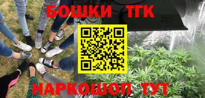 ГАЛЛЮЦИНОГЕННЫЕ ГРИБЫ Кандалакша
