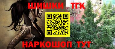 наркотики Камышлов