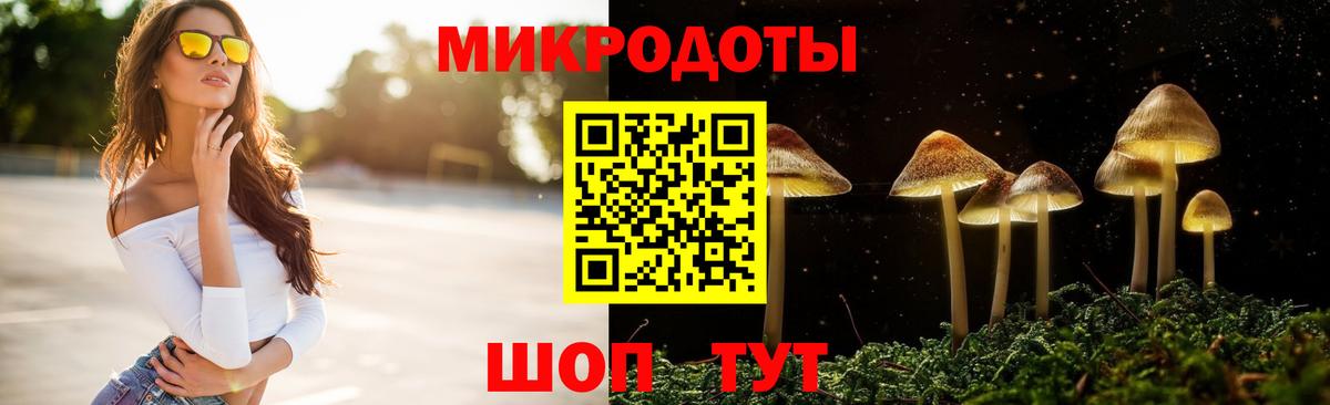 Псилоцибиновые грибы Psilocybine cubensis Лабинск